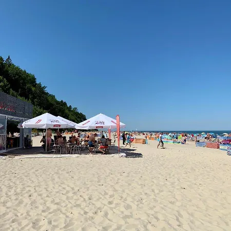 Mesa * Jastrzębia Góra
