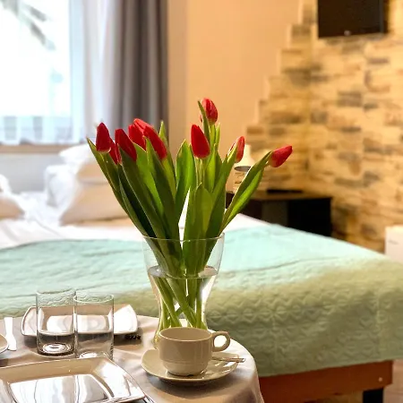 Bed & Breakfast Mesa Jastrzębia Góra